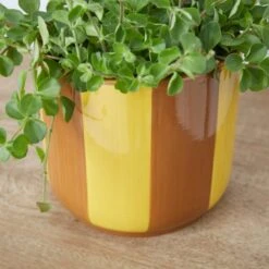 Elements Striped Ceramic Plant Pot 14 Elements Striped Ceramic Plant Pot -Elements 30943035 alt01