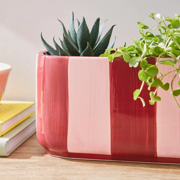 Elements Striped Ceramic Windowsill Plant Pot 7 Elements Striped Ceramic Windowsill Plant Pot - Image 5