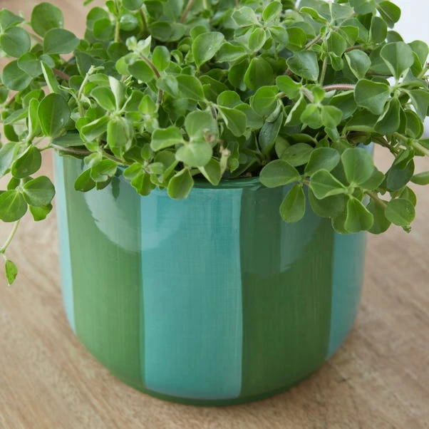 Elements Striped Ceramic Plant Pot 3 Elements Striped Ceramic Plant Pot - Image 2