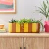 Elements Striped Ceramic Windowsill Plant Pot -Elements 30943051